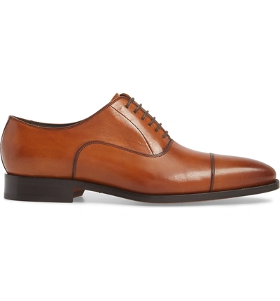 Shop To Boot New York Knoll Cap Toe Oxford In Cognac Leather