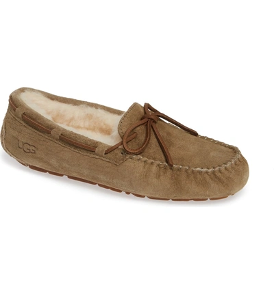 Shop Ugg Dakota Water Resistant Slipper In Antelope