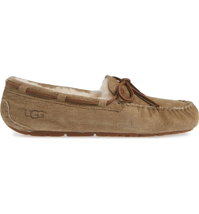 Shop Ugg Dakota Water Resistant Slipper In Antelope