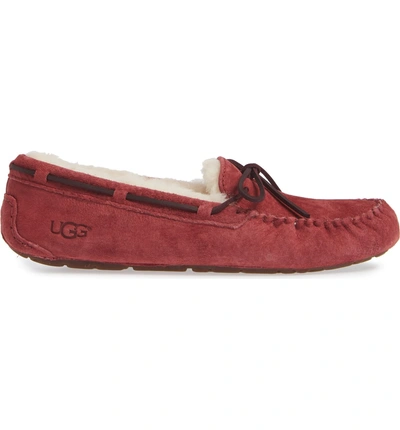 Shop Ugg Dakota Water Resistant Slipper In Redwood