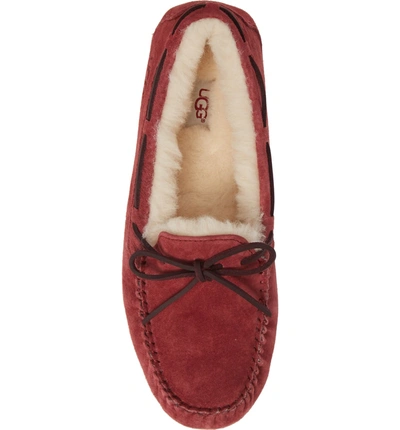 Shop Ugg Dakota Water Resistant Slipper In Redwood