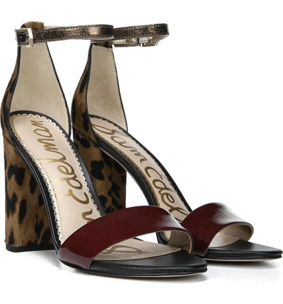 Shop Sam Edelman Yaro Ankle Strap Sandal In Leopard Multi Calf Hair