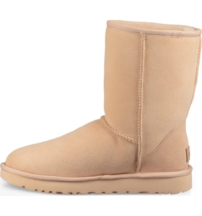 Shop Ugg Classic Ii Genuine Shearling Lined Short Boot In Amber Light