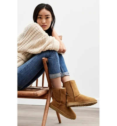 Shop Ugg Classic Ii Genuine Shearling Lined Short Boot In Amber Light