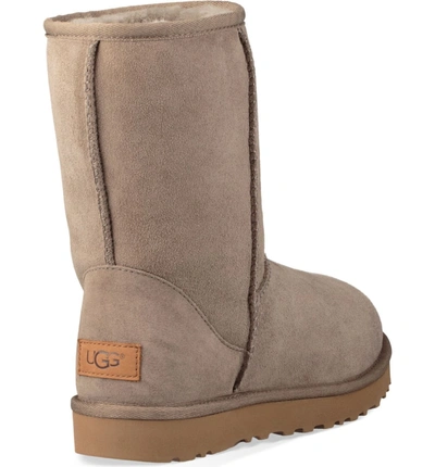 Shop Ugg Classic Ii Genuine Shearling Lined Short Boot In Brindle Suede