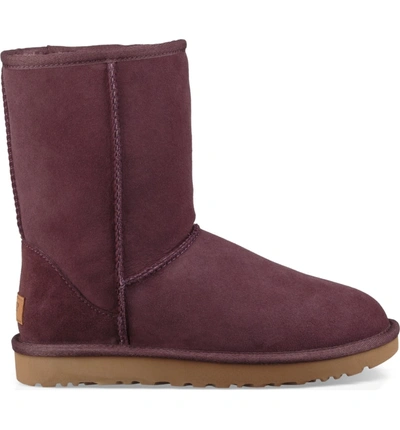 Shop Ugg Classic Ii Genuine Shearling Lined Short Boot In Port