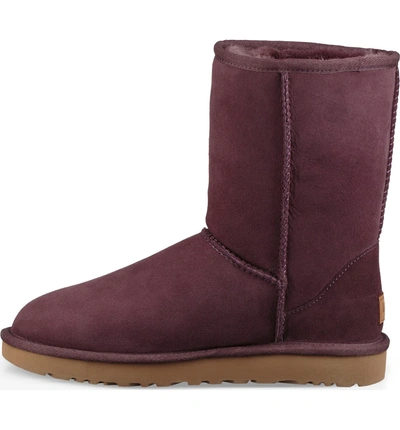 Shop Ugg Classic Ii Genuine Shearling Lined Short Boot In Port