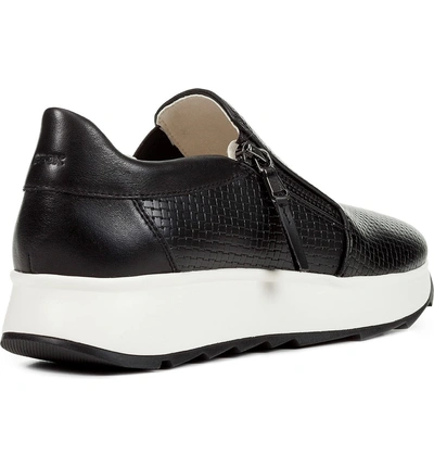Shop Geox Gendry Zip Sneaker In Black Leather