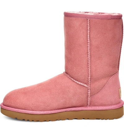 Shop Ugg Classic Ii Genuine Shearling Lined Short Boot In Pink Dawn Suede
