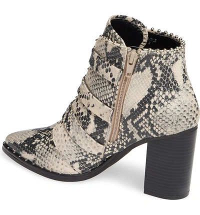 Shop Steve Madden Humble Bootie In Natural Snake Print Leather