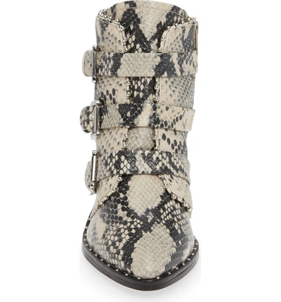 Shop Steve Madden Humble Bootie In Natural Snake Print Leather