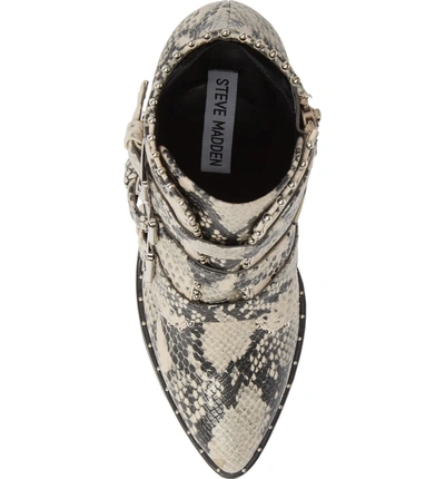 Shop Steve Madden Humble Bootie In Natural Snake Print Leather