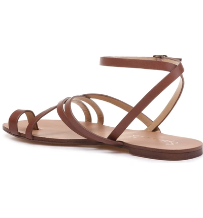 Shop Splendid Sully Strappy Toe Loop Sandal In Chestnut Leather