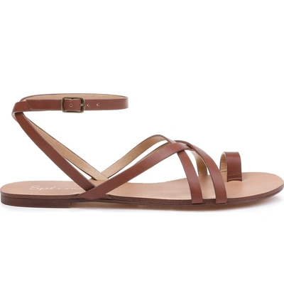 Shop Splendid Sully Strappy Toe Loop Sandal In Chestnut Leather