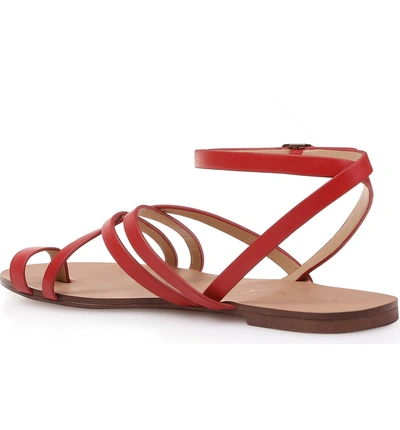 Shop Splendid Sully Strappy Toe Loop Sandal In Red Leather