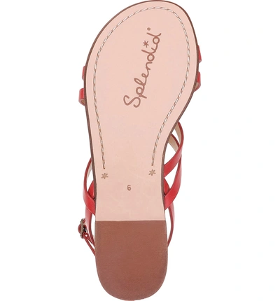 Shop Splendid Sully Strappy Toe Loop Sandal In Red Leather