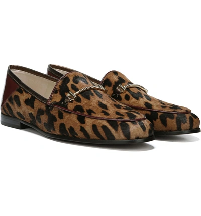 Shop Sam Edelman Lior Loafer In Clouded Leopard Calf Hair