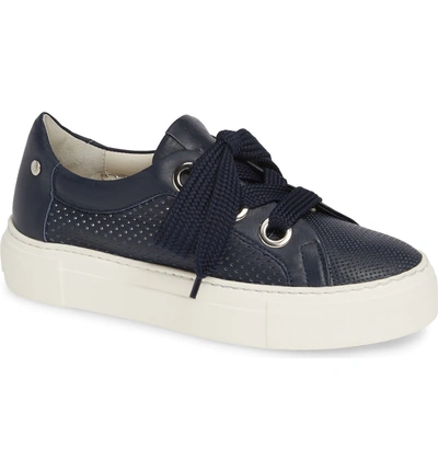 Shop Agl Attilio Giusti Leombruni Perforated Platform Sneaker In Navy Leather