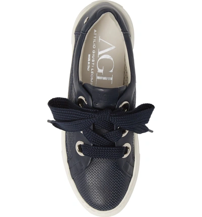 Shop Agl Attilio Giusti Leombruni Perforated Platform Sneaker In Navy Leather