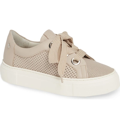 Shop Agl Attilio Giusti Leombruni Perforated Platform Sneaker In Talc Leather