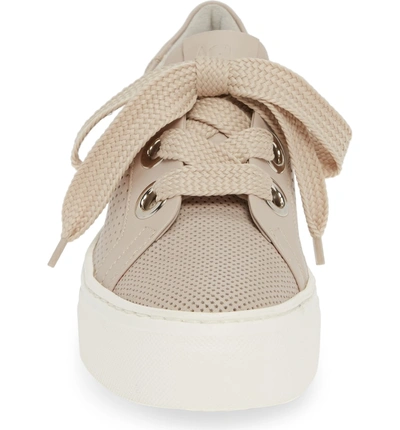 Shop Agl Attilio Giusti Leombruni Perforated Platform Sneaker In Talc Leather