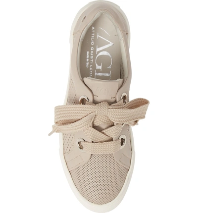 Shop Agl Attilio Giusti Leombruni Perforated Platform Sneaker In Talc Leather