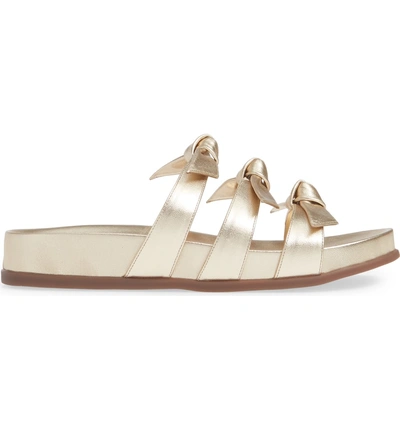 Shop Alexandre Birman Triple Knot Slide Sandal In Gold