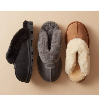 Shop Ugg Genuine Shearling Slipper In Redwood