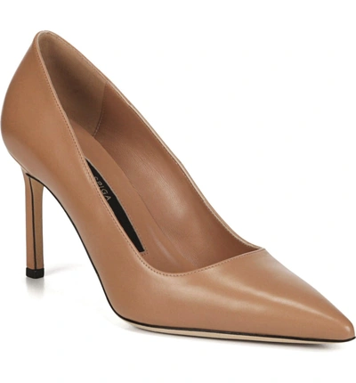 Shop Via Spiga Nikole Pointy Toe Pump In Desert Leather