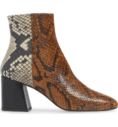 Shop Freda Salvador Charm Reptile Embossed Bootie In Brown Snake Embossed Leather