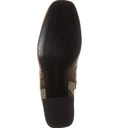 Shop Freda Salvador Charm Reptile Embossed Bootie In Brown Snake Embossed Leather