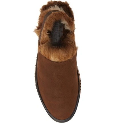 Shop Sesto Meucci Correy Genuine Rabbit Fur Slingback In Castagna Nubuck