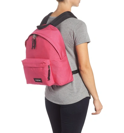 Shop Eastpak Padded Pak'r Nylon Backpack - Pink In Extra Pink