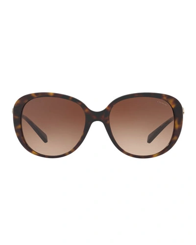 Shop Coach Oval Acetate Sunglasses W/ 3d Stage Detail In Dark Tortoise