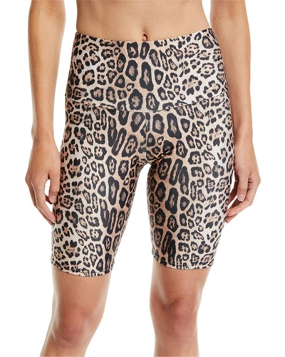 Shop Onzie High-rise Leopard-print Activewear Bike Shorts