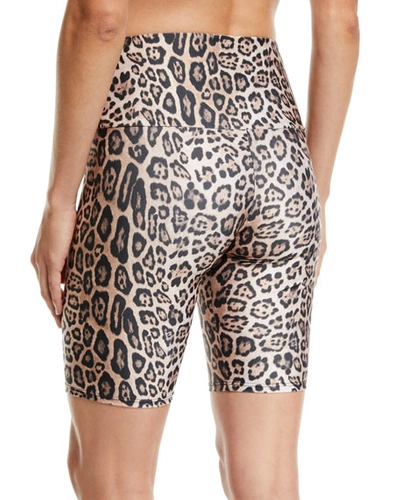 Shop Onzie High-rise Leopard-print Activewear Bike Shorts