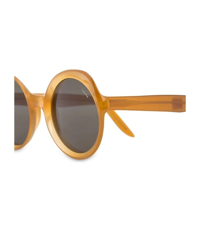 Shop Lapima Amber Carlotta Sunglasses