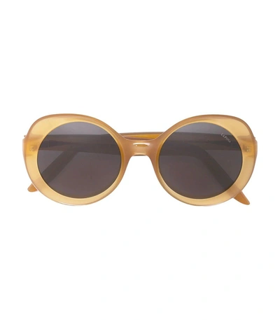 Shop Lapima Amber Carlotta Sunglasses