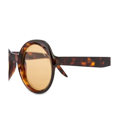 Shop Lapima Tortoise Carlota Sunglasses
