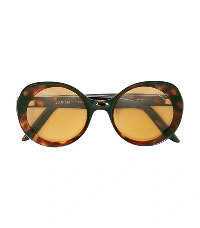 Shop Lapima Tortoise Carlota Sunglasses