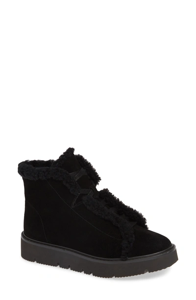 Shop Gentle Souls By Kenneth Cole Trevor Genuine Shearling Lined Bootie In Black Suede