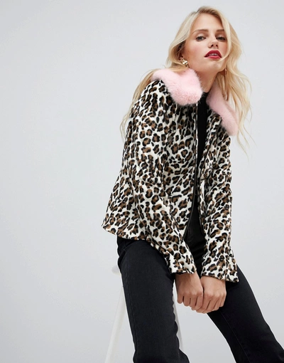 Shop Helene Berman Leopard Print Jacket With Pink Faux Fur Collar-brown