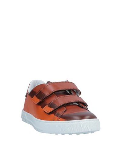 Tod's Sneakers In Brown