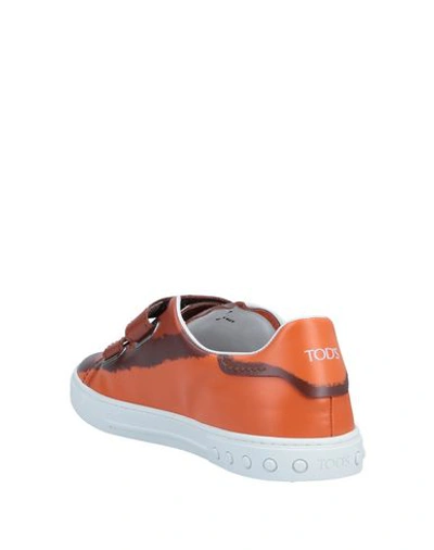 Tod's Sneakers In Brown