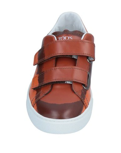 Tod's Sneakers In Brown