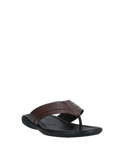 Shop Doucal's Toe Strap Sandals In Cocoa