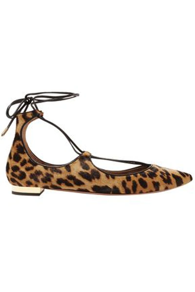 Shop Aquazzura Woman Christy Leopard-print Calf Hair Point-toe Flats Multicolor