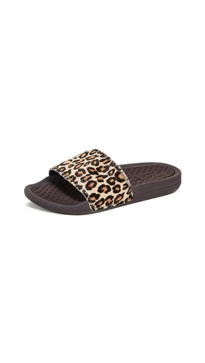 Shop Apl Athletic Propulsion Labs Iconic Calf Hair Slides In Cheetah