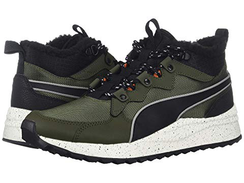 puma forest night puma forest night