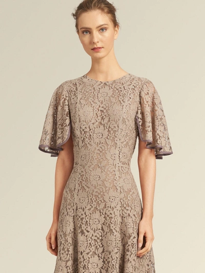 Shop Donna Karan Lace Dress With Ruffle Sleeves In Thistle